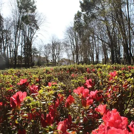 Varanda Do Outeiro Holiday home *