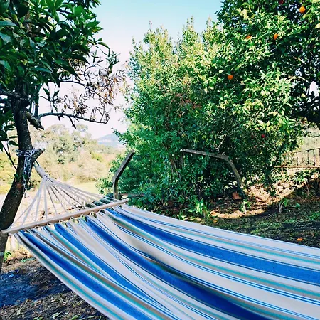 Hébergement de vacances Varanda Do Outeiro Melgaço